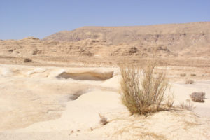 desert