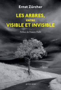 Les arbres
