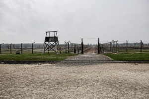 auschwitz