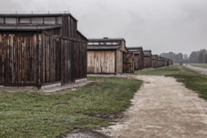 auschwitz