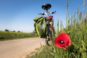 cycling