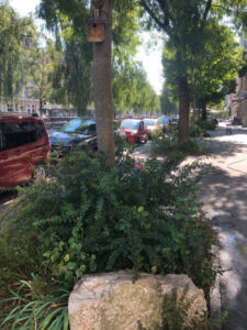 coiffeur-fleurs_1
