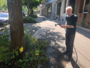 coiffeur-fleurs_5